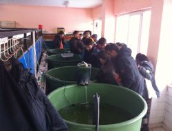 Su Ürünleri minik öğrencileri ağırladı